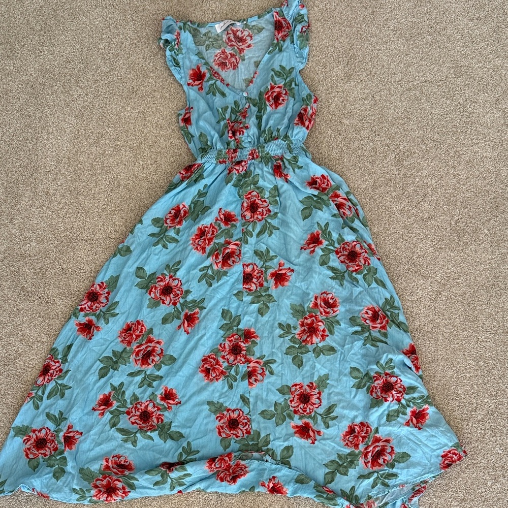 Petal & Pup Blue Floral dress